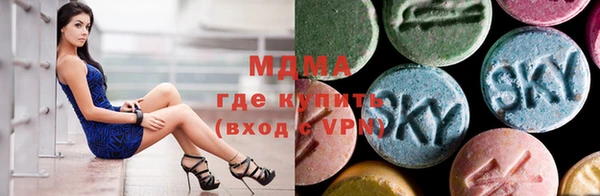 индика Протвино