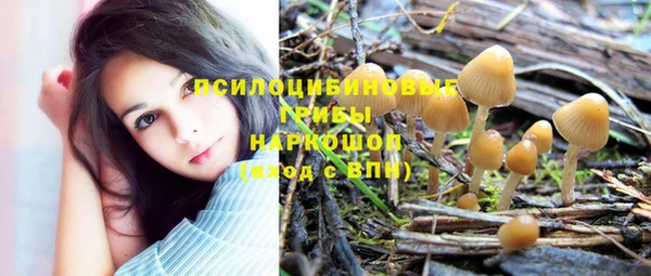 индика Протвино